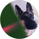 Alysha Sulpico profile picture